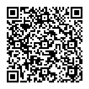 原本以为人多势众可以轻松将风清扬碾压可现在他却觉得人多了反而是一种牵连累赘二维码生成