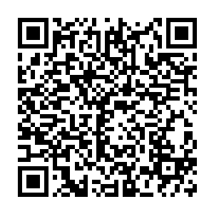 原本以为凭借着亡灵的悍不畏死的进攻可以轻易的撕开人类的防线二维码生成