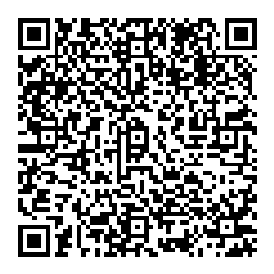 原本以为这只是一个记录标准的金榜 但现在看來似乎并非如此 就在风清扬名字变化的一瞬间 金榜忽然动摇起來 龙太子二维码生成