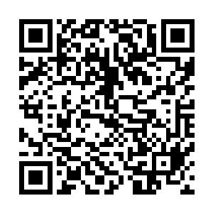 原本信心满满的二皇子和车丞相两人脸色也变得苍白了起来二维码生成