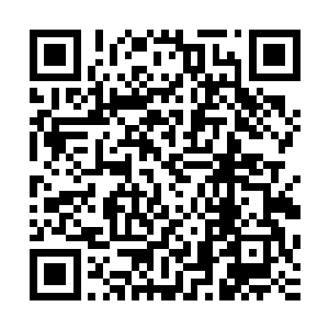 原本其空荡荡的双手却是在着此刻忽然幻化出一把佛门金刚杵二维码生成