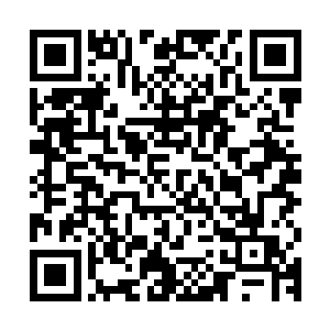 原本准备好的苦口婆心和谆谆善诱的言辞根本没发挥出什么用处二维码生成