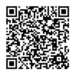 原本准备着开场就饕餮大吃的贝海被卡森拉着转了一圈儿介绍给什么导演啦二维码生成