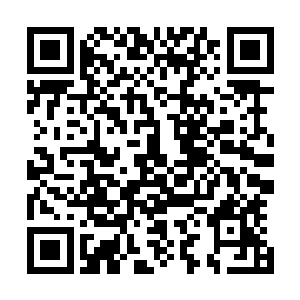 原本分散在海选战场中的无数修士便集合成了一个大的群体二维码生成