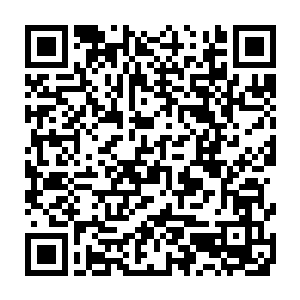 原本受到重创的身体在这股能量的作用之下竟然以一种无比恐怖的速度修复着二维码生成