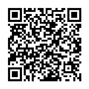 原本只是例行询问一下成绩的系长大人们顿时坐不住了二维码生成
