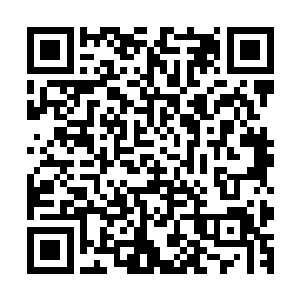 原本因为韩风得到大量积分的不满和嫉妒在这一刻也烟消云散二维码生成