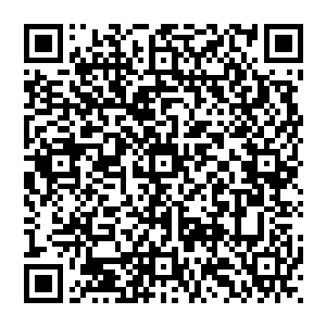 原本在叶玥眼中还略带着一丝稚嫩的少女如今已经长成了名动天下的在任何时候足以独当一面的定国王妃二维码生成