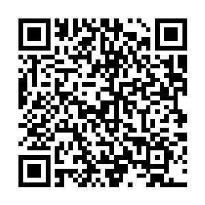 原本在大战之后松懈甚至有些颓靡的气息在这一刻荡然无存二维码生成