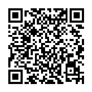 原本在楼下大堂用膳的侍卫们早就已经起身守在门口了二维码生成