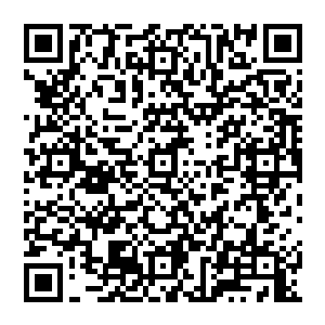 原本在西门家族里面不相信苏凡已经死去的那些人也都渐渐地相信了苏凡已经死去了这件事情二维码生成