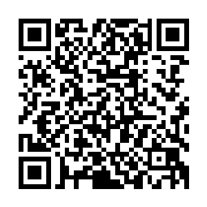 原本在软榻上懒洋洋的歇着的男人瞬间一个翻身就到了书桌前二维码生成