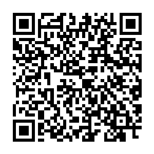 原本堆积在树心上乱七八糟的灵花灵草被其他人手忙脚乱的收了起来二维码生成