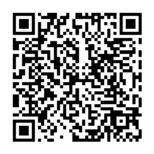 原本宁毅害怕苏家再过来找两人麻烦而让闻人不二安排的人手此时或许已经撤去二维码生成