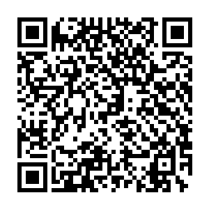 原本安静地摆放在石室正中心位置的炼器炉也因为它的狂暴而嗡嗡作响二维码生成