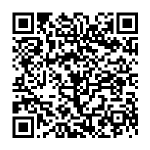 原本安静待在车顶吐司的巨型猎人蛛也仿佛是受到了什么刺激一般二维码生成