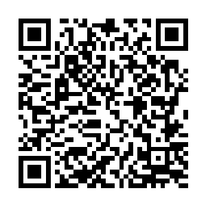 原本完好的衣衫已经裂开了密密麻麻数也数不清的细小裂缝二维码生成