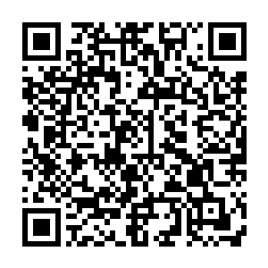 原本对于骨皇就充满了不满的系统顿时升起了一种幸灾乐祸的感觉二维码生成