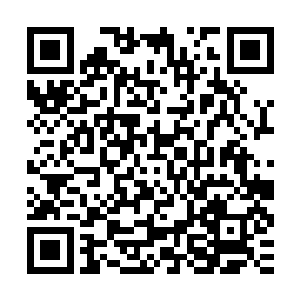 原本就是为了避免到时候不是我的我会对你如何才有的重生之法二维码生成