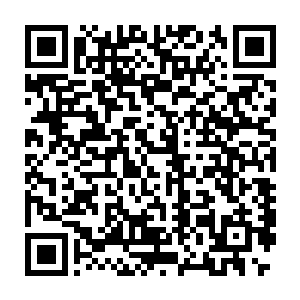 原本属于自己的混沌不灭气开始一丝丝的融合新诞生的混沌不灭气二维码生成