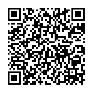 原本嵌在手腕里的硬币也随着绿芒的笼罩被愈合出来的伤口给挤了出来二维码生成