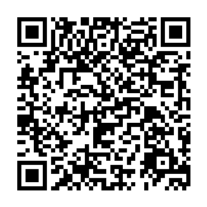 原本已经不被他看在眼里的酆都大帝居然手上还握着一张如此可怕的底牌二维码生成