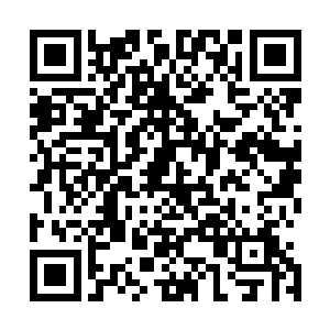 原本已经恢复得跟他本人一样大小的盘古法相也是瞬间暴涨二维码生成