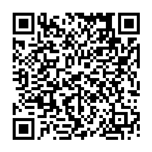 原本已经明白了的流墨墨却是带着一些不明白的看着面前那颗滚圆的绚烂圆球二维码生成