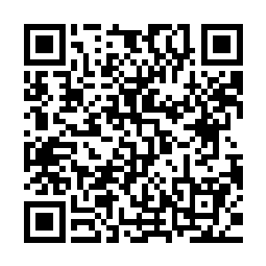 原本已经没有什么理由拖延的六大家族这次有了一个统一的理由二维码生成