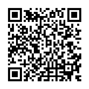 原本已经达到了恐怖的主神境界的气息仿佛泄了气的皮球一般二维码生成