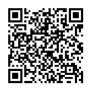 原本已经零散的玄黄圣树上面的玄黄圣果竟然再一次长满了二维码生成