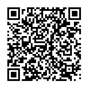 原本广陵城中横行霸道危害甚深的数家或士族或豪门的纨绔子弟纷纷被抓二维码生成