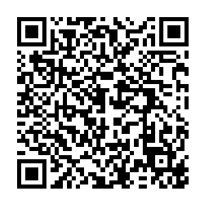 原本张大叔是准备让阮家老祖借助镇魂钟上残留的意识通知阮和武二维码生成