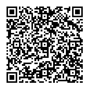 原本归属于五大门派和四大魔王划分好的吸收新鲜血液的城池也全都在全真人的干预下全部打破这种垄断行为二维码生成