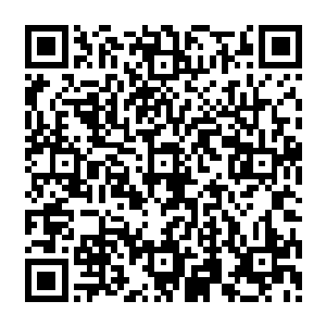 原本心中可能还有的淡淡的遗憾和不满也在叶璃带来的各种新奇的知识和技能中被湮没了二维码生成