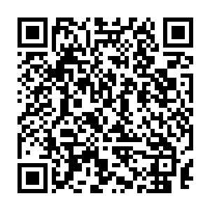 原本性子和父亲一样老实憨厚的万有乐长大后和小时候可以说的天差地别二维码生成