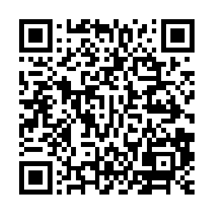 原本悬浮在木柱子旁边的他却是已经一只脚落到了木柱子的顶端二维码生成