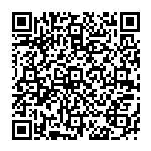 原本想着把你送出去――等到你出山之后我再离开――现在看来是等不了了――回去吧二维码生成