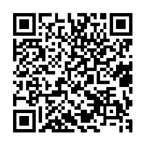 原本我还以为会等你给我报仇之后才将真正的丹仙秘籍传给你二维码生成
