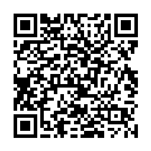 原本打扮的精神焕发的桑晓桐被莫小鱼收拾的一动不动二维码生成