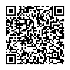 原本打的死去活来的两大家族江家和柳家却在这一剑峰老君亭达成了和解和合作二维码生成