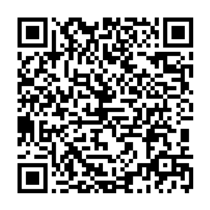 原本捆绑在林辰身上的白色秘法伴随着密密麻麻的符文已然消失在了半空二维码生成