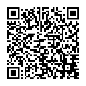 原本是当吃瓜群众的他们看着流墨墨他们竟然真解决了堵住花圃的那些仙人二维码生成