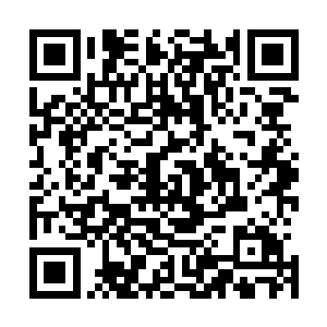 原本是想着让自己信任的席绢组建一个令自己信得过的队伍二维码生成