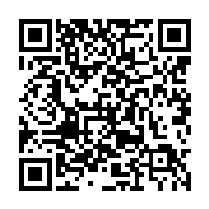 原本杨戬重伤垂死的身体此时也已经彻底的恢复了二维码生成