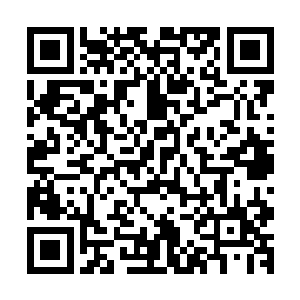 原本正在跟徐知睿纠缠的墨小宝看到两人立刻欢快的扑了过来二维码生成