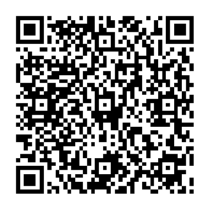 原本的多门派格局基本形成了以千机门星象剑派为主的一方和以元门龙族为主的一方二维码生成