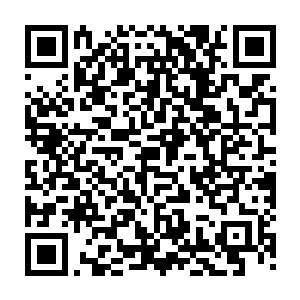 原本盘膝坐着的流墨墨身后慢慢浮起流墨墨凡人界的身体落到了一旁坐下二维码生成