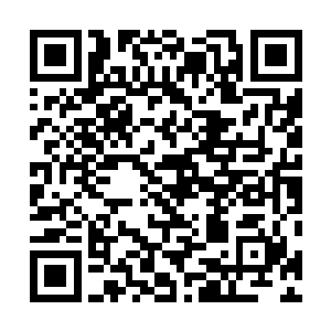 原本神智不清的正在使劲的在他的身上撕扯衣服的王青青二维码生成