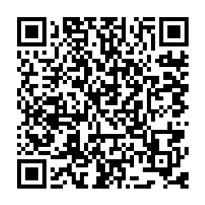 原本站在布拉德面前的家族精英根本无法在这股血族上位者强大的气息面前站稳二维码生成